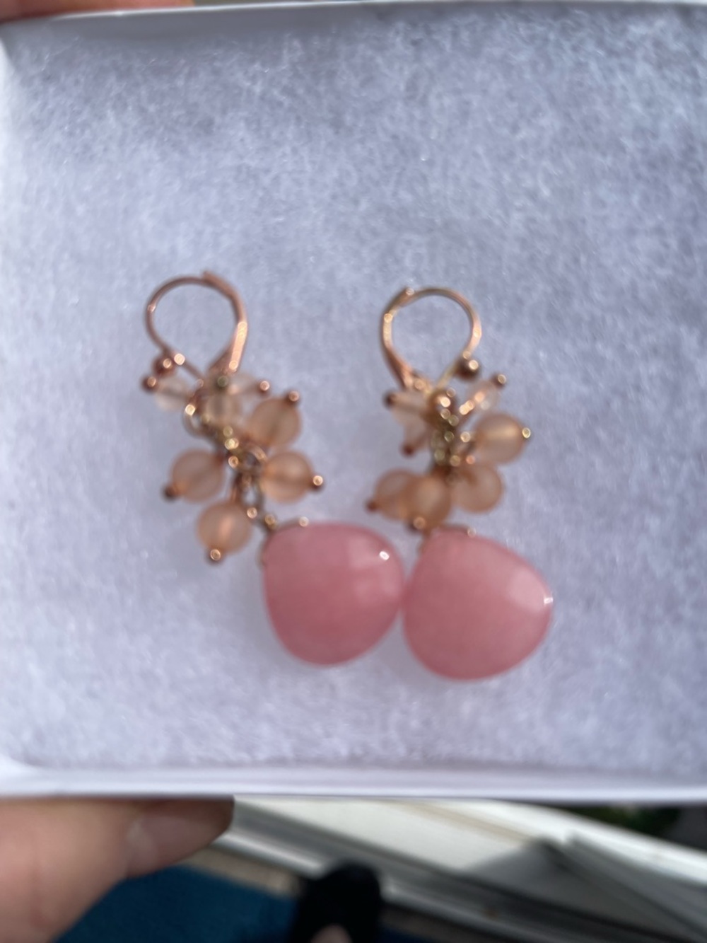 Elegant Peachy Pink Drop Earrings - Leverbacks